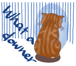 This Meow-Meow Life (English ver.) sticker #3609497