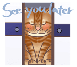 This Meow-Meow Life (English ver.) sticker #3609499