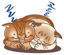 This Meow-Meow Life (English ver.) sticker #3609502