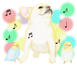 French Bulldog & Parakeet Sticker sticker #3609633