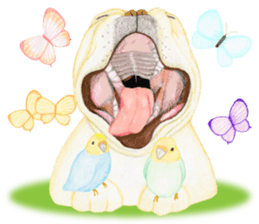 French Bulldog & Parakeet Sticker sticker #3609638