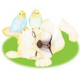 French Bulldog & Parakeet Sticker sticker #3609641