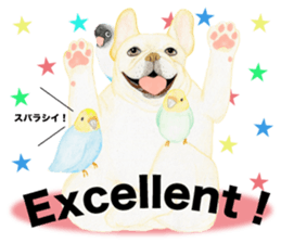 French Bulldog & Parakeet Sticker sticker #3609649