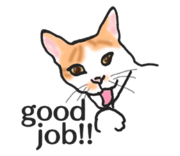 realcats2 sticker #3611467