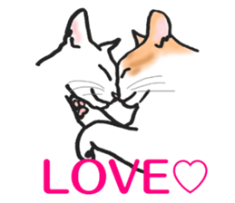 realcats2 sticker #3611469