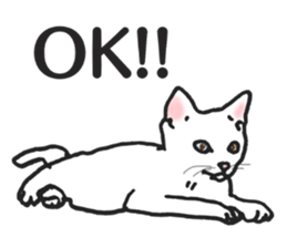 realcats2 sticker #3611470