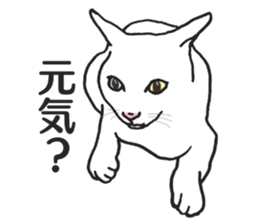 realcats2 sticker #3611472