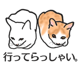 realcats2 sticker #3611475