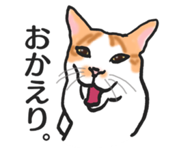 realcats2 sticker #3611476