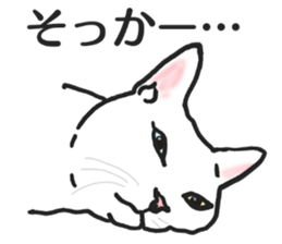 realcats2 sticker #3611478