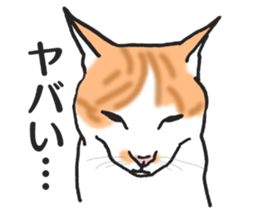 realcats2 sticker #3611481