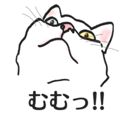 realcats2 sticker #3611482