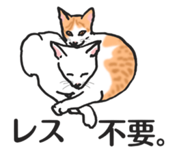 realcats2 sticker #3611484