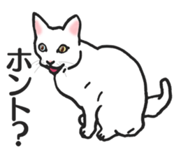 realcats2 sticker #3611488