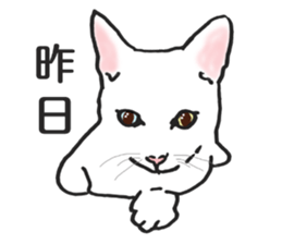 realcats2 sticker #3611489