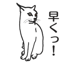 realcats2 sticker #3611495