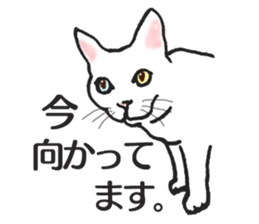 realcats2 sticker #3611500