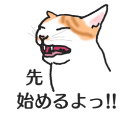 realcats2 sticker #3611503