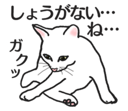 realcats2 sticker #3611504