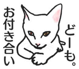 realcats2 sticker #3611505
