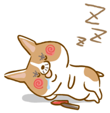 Jack Russell Terrier(JRT)vol.2 sticker #3613269