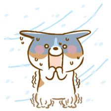 Jack Russell Terrier(JRT)vol.2 sticker #3613283