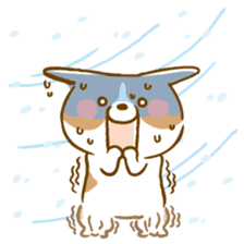 Jack Russell Terrier(JRT)vol.2 sticker #3613283