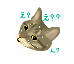 Funny cat Mozuku!! sticker #3614389