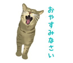 Funny cat Mozuku!! sticker #3614390