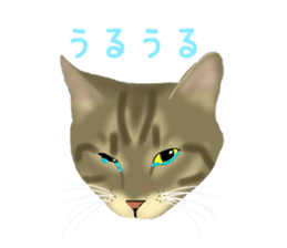 Funny cat Mozuku!! sticker #3614391