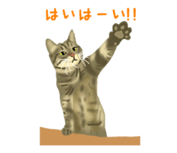 Funny cat Mozuku!! sticker #3614392