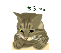 Funny cat Mozuku!! sticker #3614393