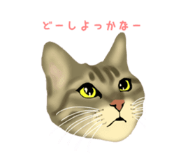 Funny cat Mozuku!! sticker #3614396