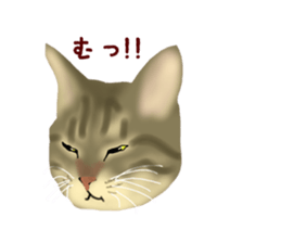 Funny cat Mozuku!! sticker #3614397