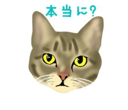 Funny cat Mozuku!! sticker #3614400