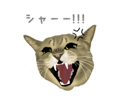 Funny cat Mozuku!! sticker #3614404