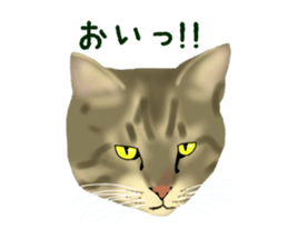Funny cat Mozuku!! sticker #3614408