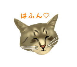 Funny cat Mozuku!! sticker #3614411