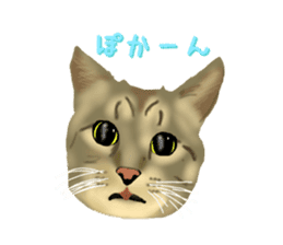 Funny cat Mozuku!! sticker #3614412