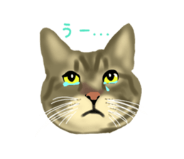 Funny cat Mozuku!! sticker #3614413