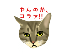 Funny cat Mozuku!! sticker #3614416