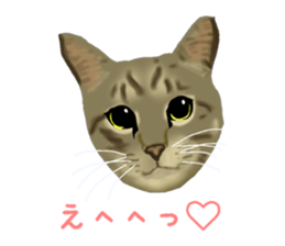 Funny cat Mozuku!! sticker #3614419