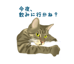 Funny cat Mozuku!! sticker #3614421