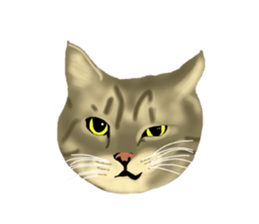 Funny cat Mozuku!! sticker #3614422