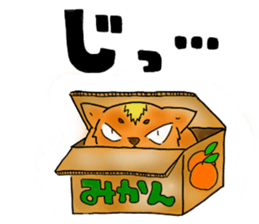 What cats? sticker #3616108