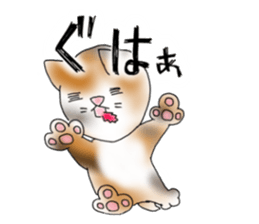 What cats? sticker #3616121