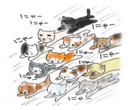 What cats? sticker #3616122