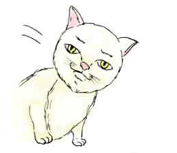 What cats? sticker #3616143