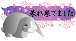 Japanese style of rabbit and floral sticker #3621097