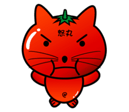 TOMATO CAT 2 sticker #3621139